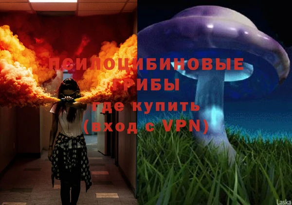 первитин Надым