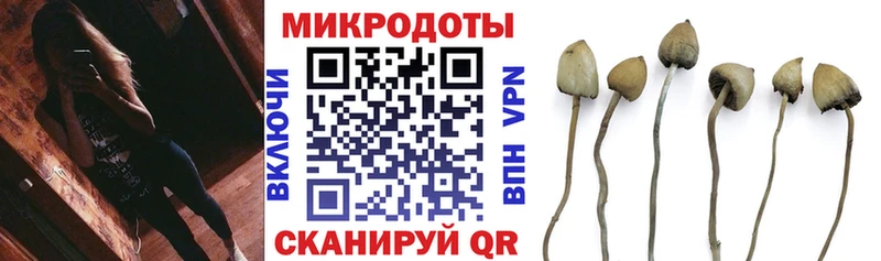Галлюциногенные грибы Magic Shrooms  закладки  Ревда 