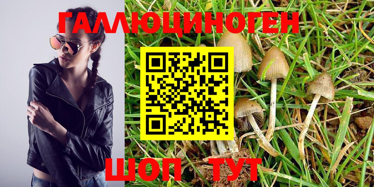 Псилоцибиновые грибы Psilocybine cubensis  Вход с VPN  Ревда 